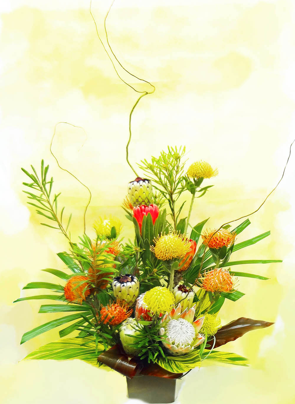 Protea Arrangements A Special Touch Florists serving Lahaina and